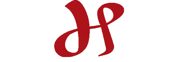 HiddenDataPort Logo
